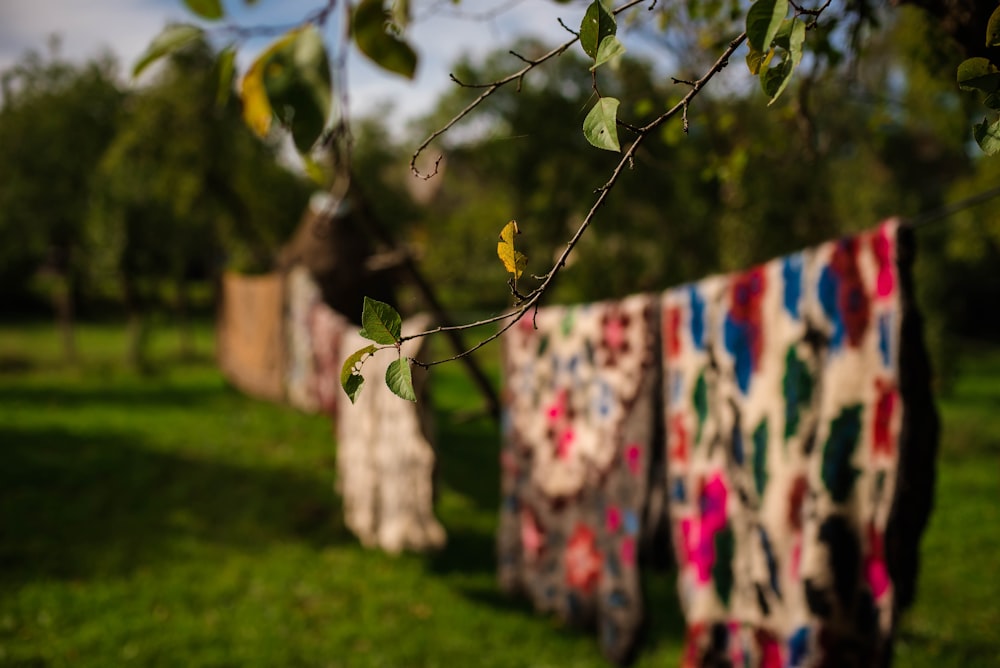 a row of quilts hanging from a tree branch