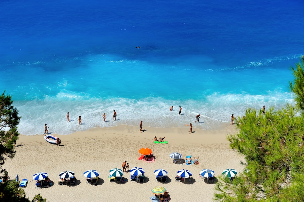 group of people swimming on beach