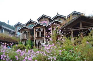 A series of rustic, wooden cabins with small balconies are nestled closely together at the base of a lush hillside. The foreground is filled with vibrant, pink and purple wildflowers swaying gently. The wooden architecture appears weathered yet charming, blending harmoniously with the surrounding greenery. The overcast sky casts a soft, diffused light over the scene.