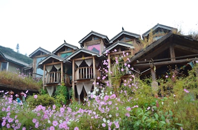 A series of rustic, wooden cabins with small balconies are nestled closely together at the base of a lush hillside. The foreground is filled with vibrant, pink and purple wildflowers swaying gently. The wooden architecture appears weathered yet charming, blending harmoniously with the surrounding greenery. The overcast sky casts a soft, diffused light over the scene.