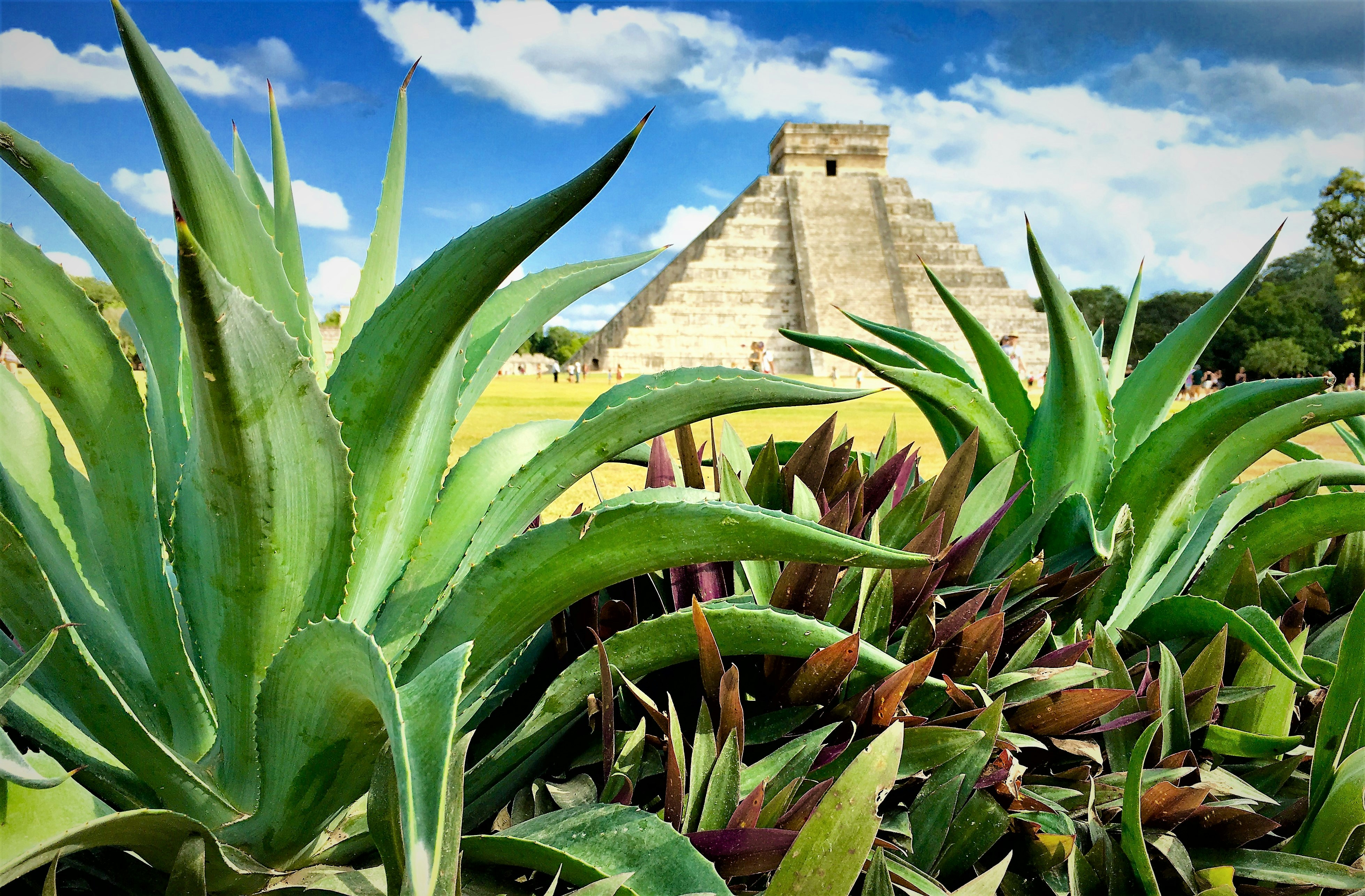 Free Unsplash photo from PolaroMagnet