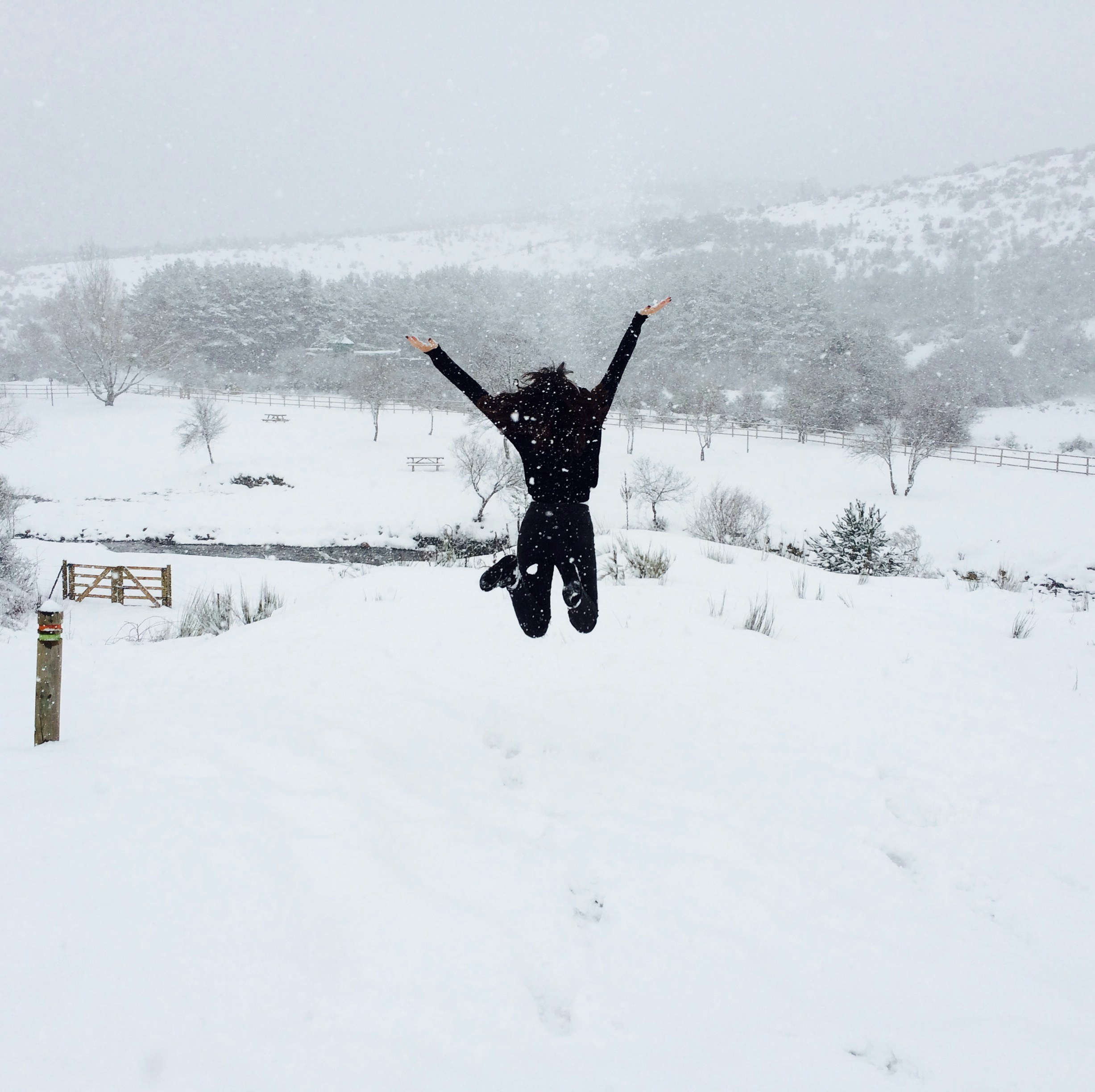 Free Unsplash photo from Irina Kübach