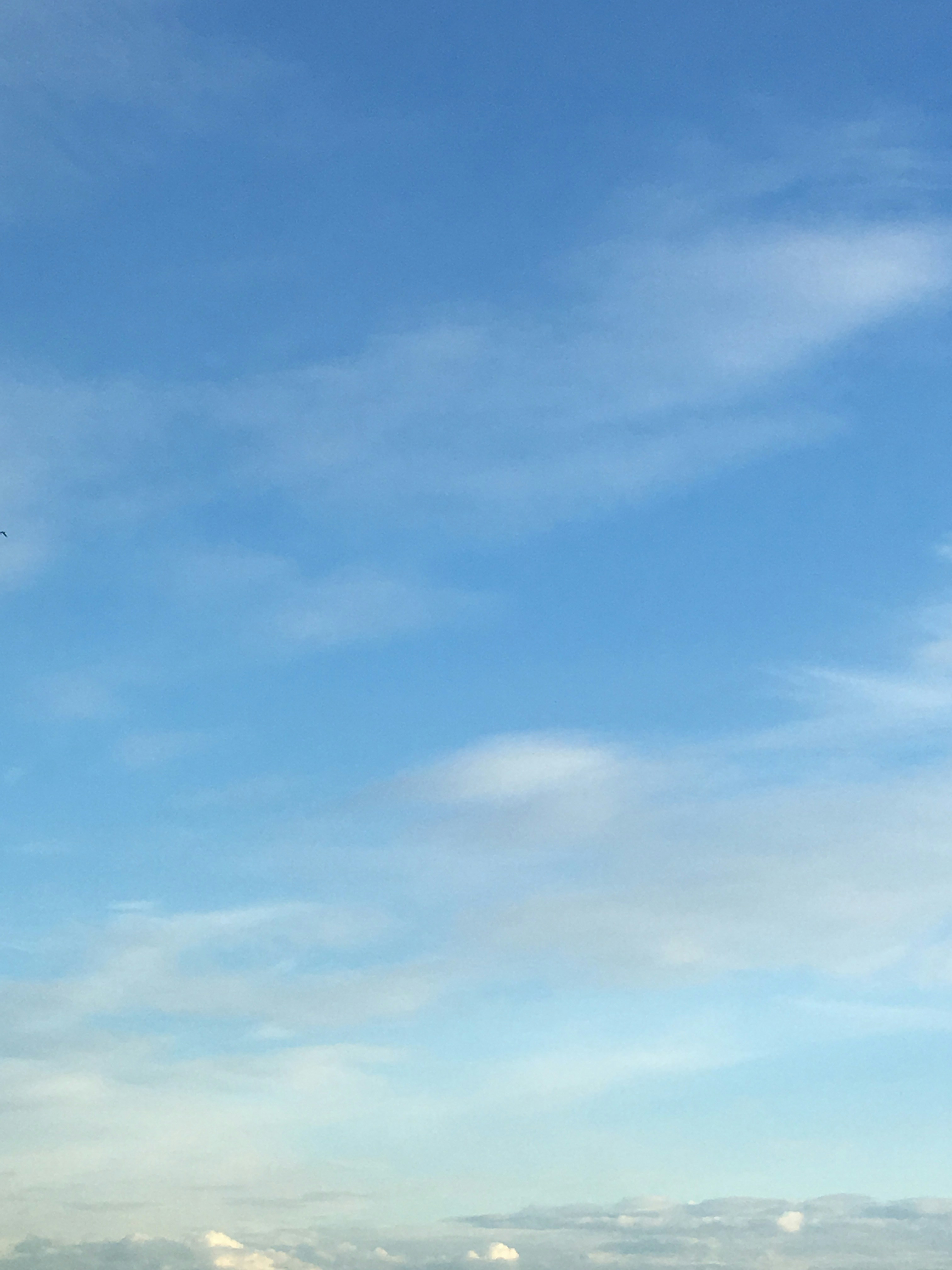 Free Unsplash photo from Arina K