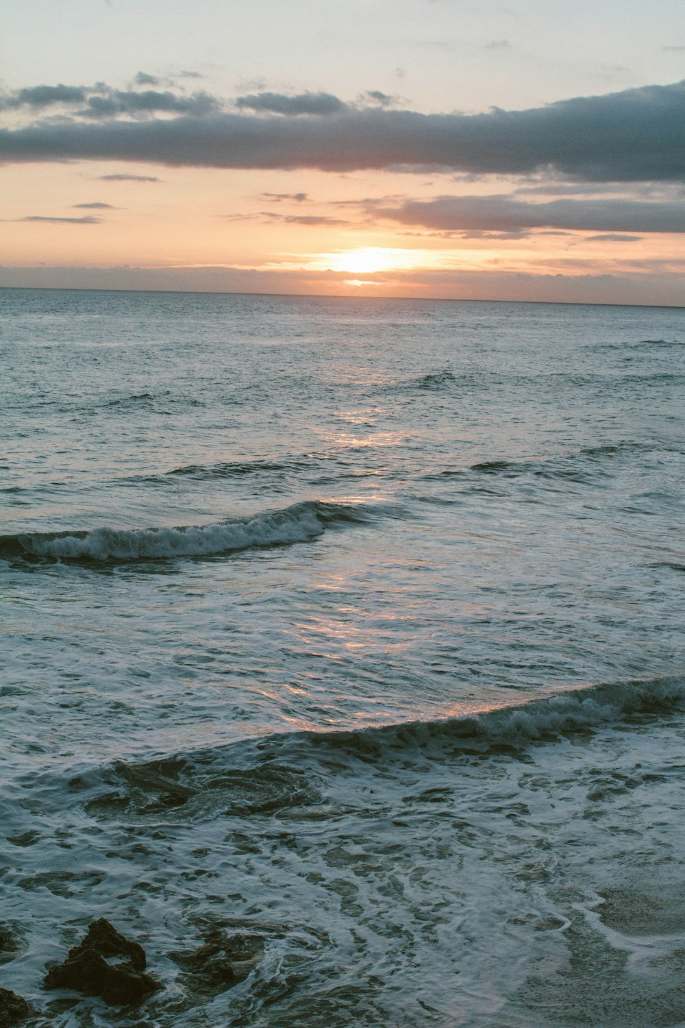 photography of seashore during daytime