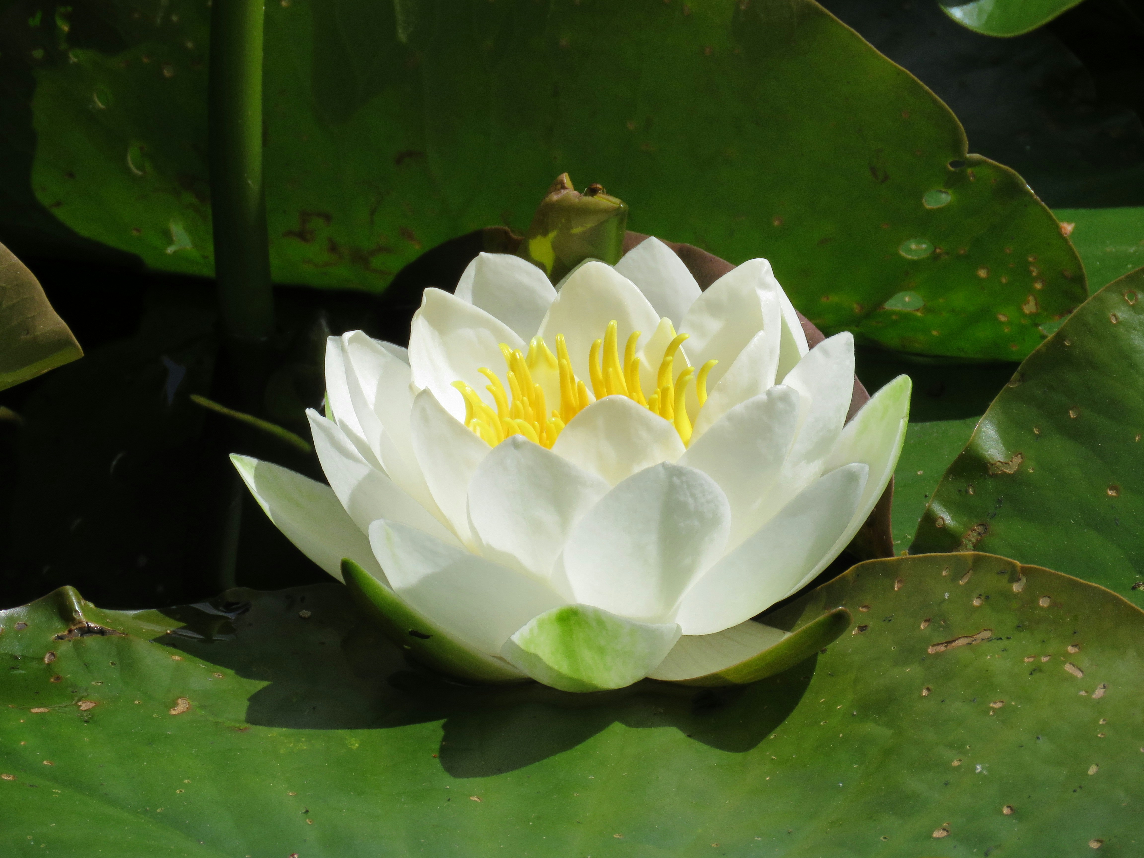 Free Unsplash photo from Chris Child