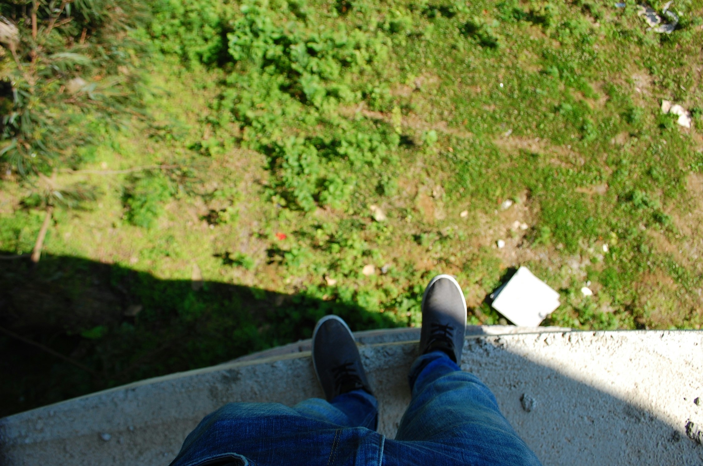 Free Unsplash photo from Luka Davitadze