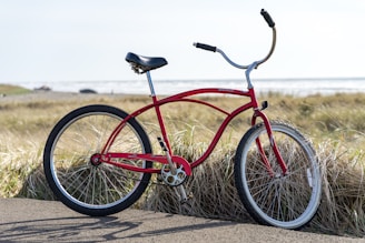 A premium open cycle bike ready for rental in a scenic location.