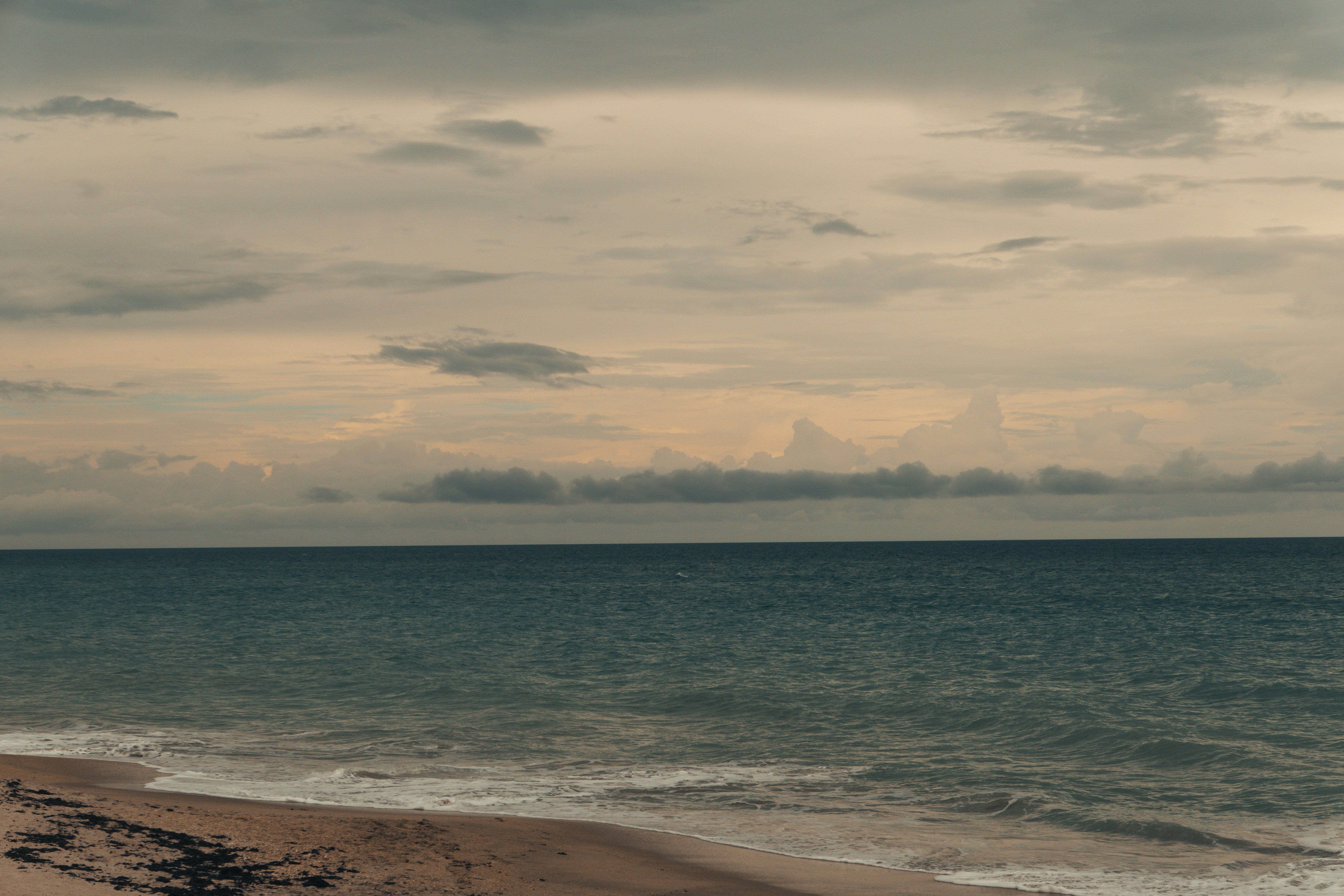 Free Unsplash photo from Brian Urso