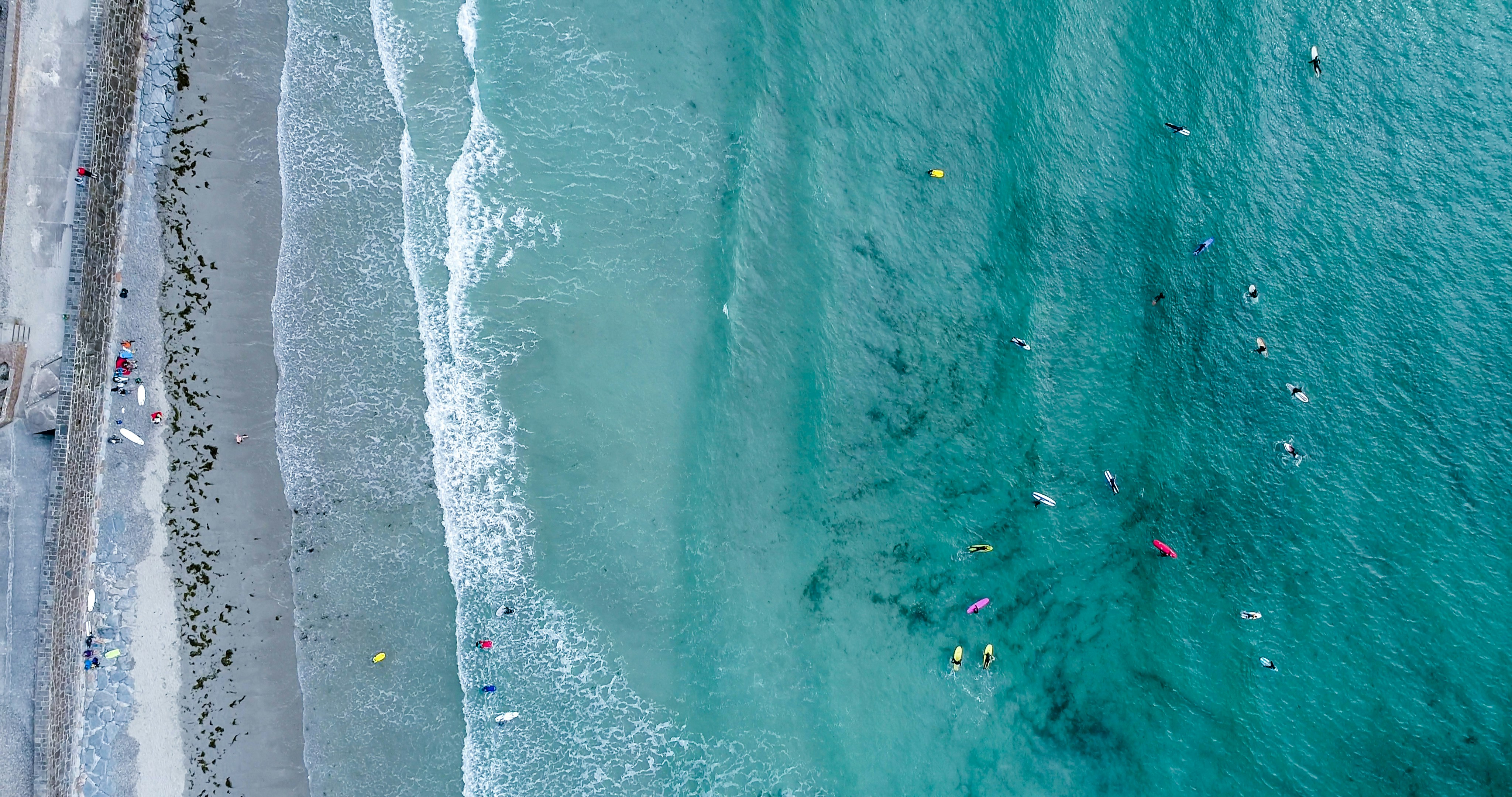 aerial photography of people on beach at daytime