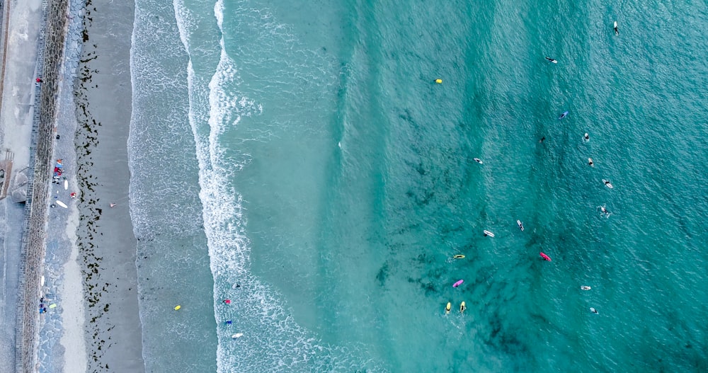 fotografia aerea di persone sulla spiaggia durante il giorno