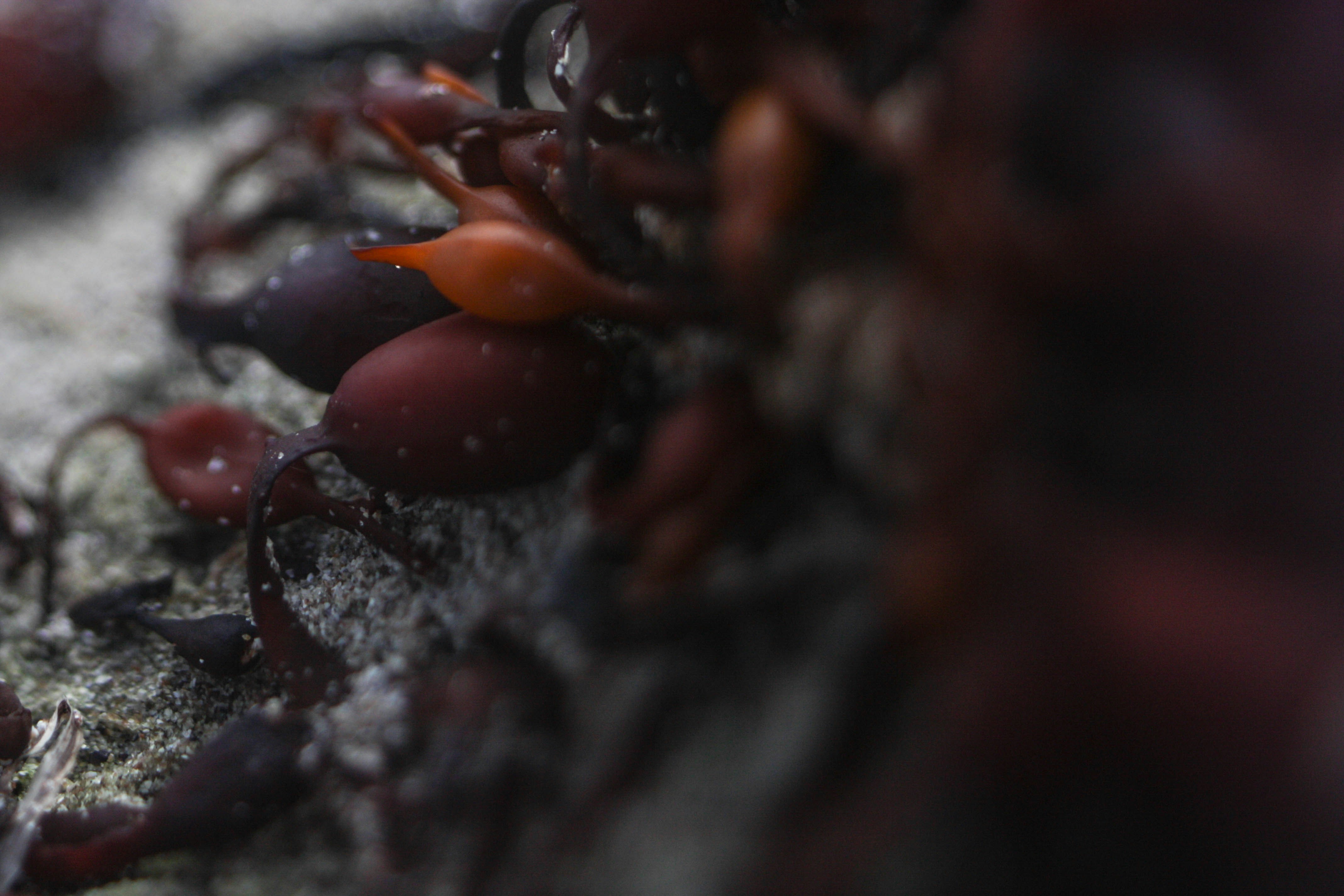 Free Unsplash photo from Pearse O'Halloran