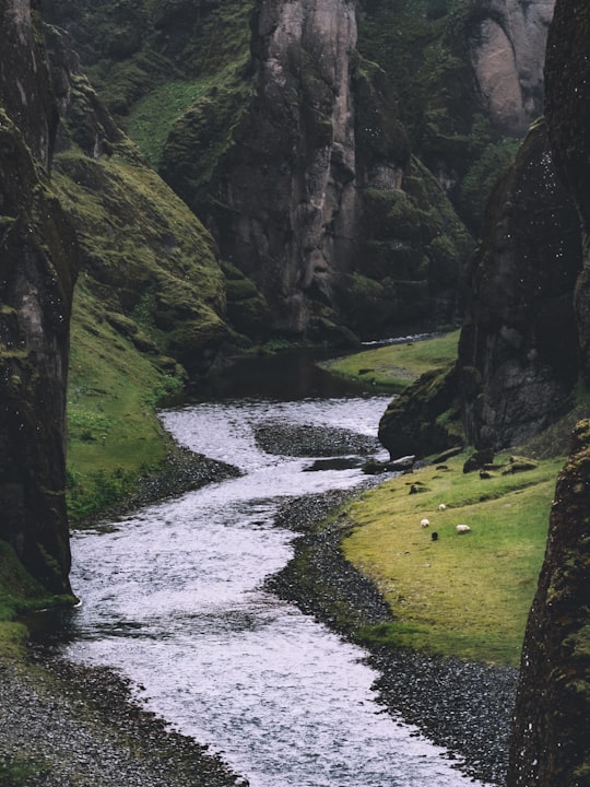 photo of stream in Fjaðrárgljúfur Canyon Iceland