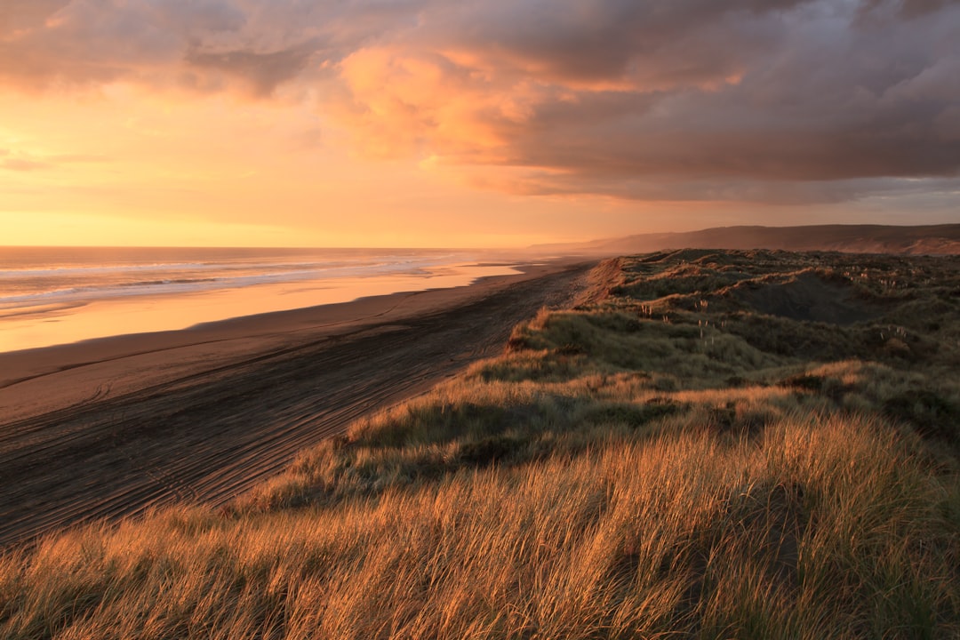 green grass field, Cloudy sunset over the sand dunes