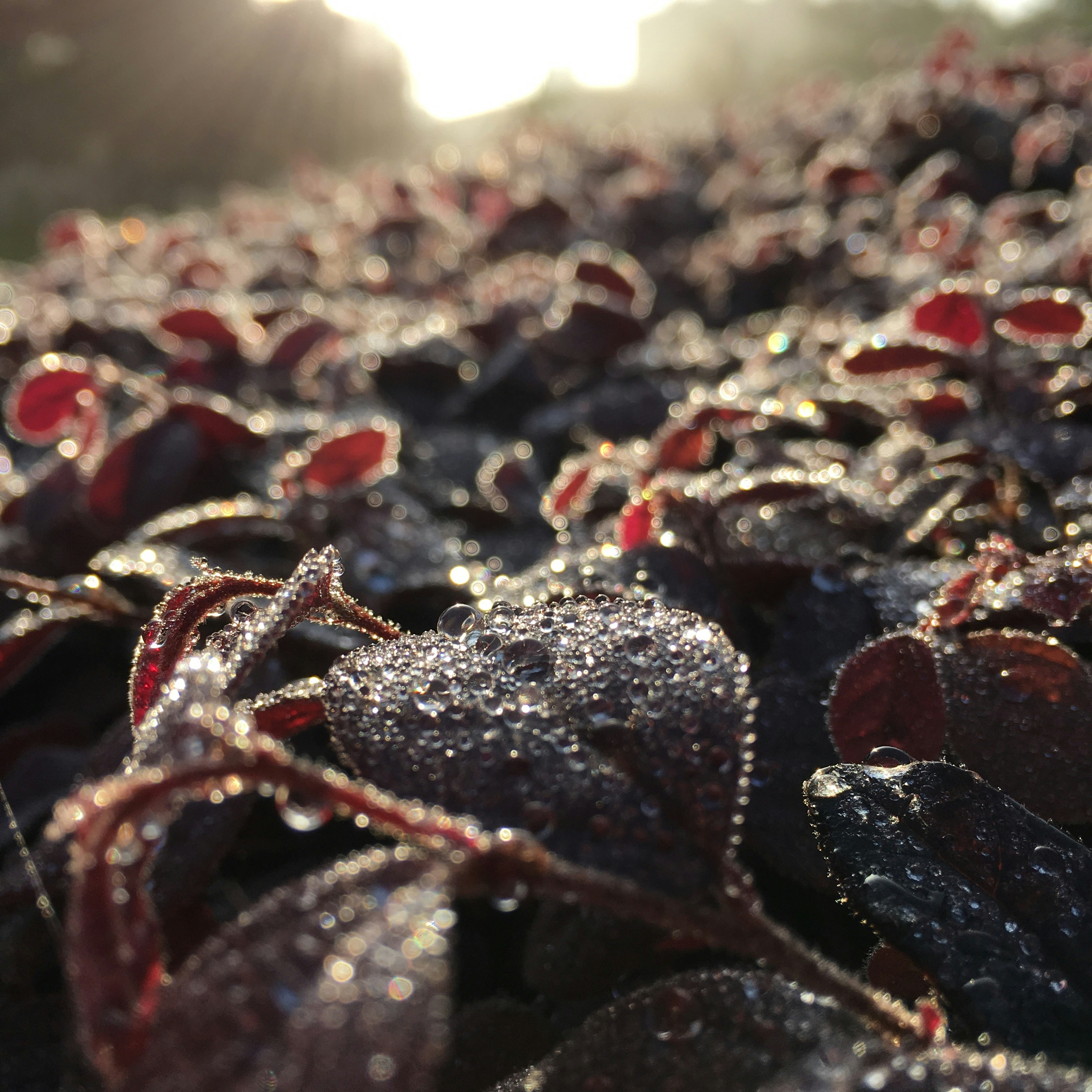 Free Unsplash photo from 泽新 李