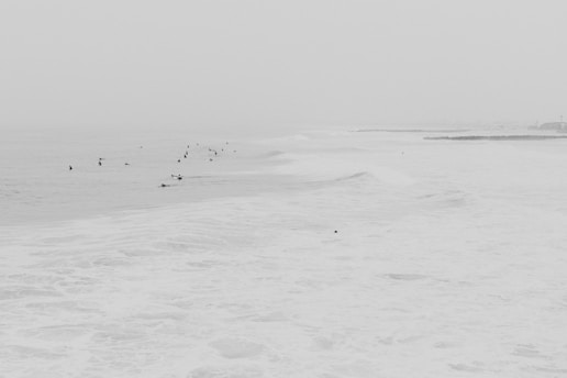 landscape photography of body of water