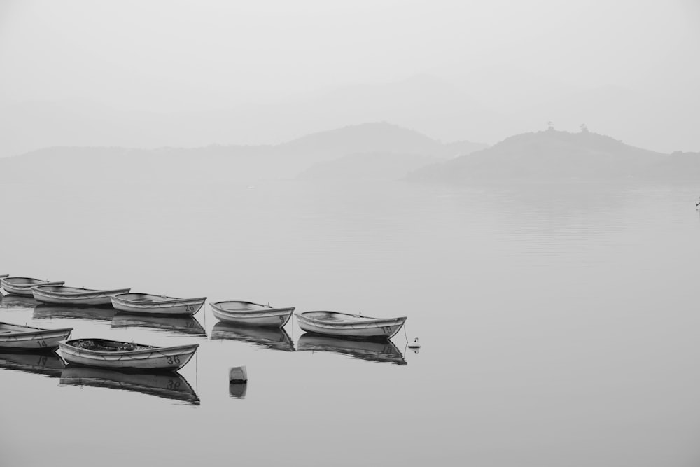 white row boats inline on body of water during foggy weather