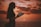 woman holding book while looking at body of water during golden hour