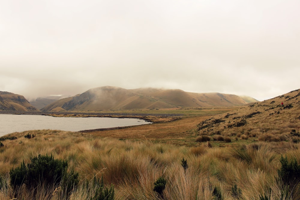 low-angle of mountains near body of water