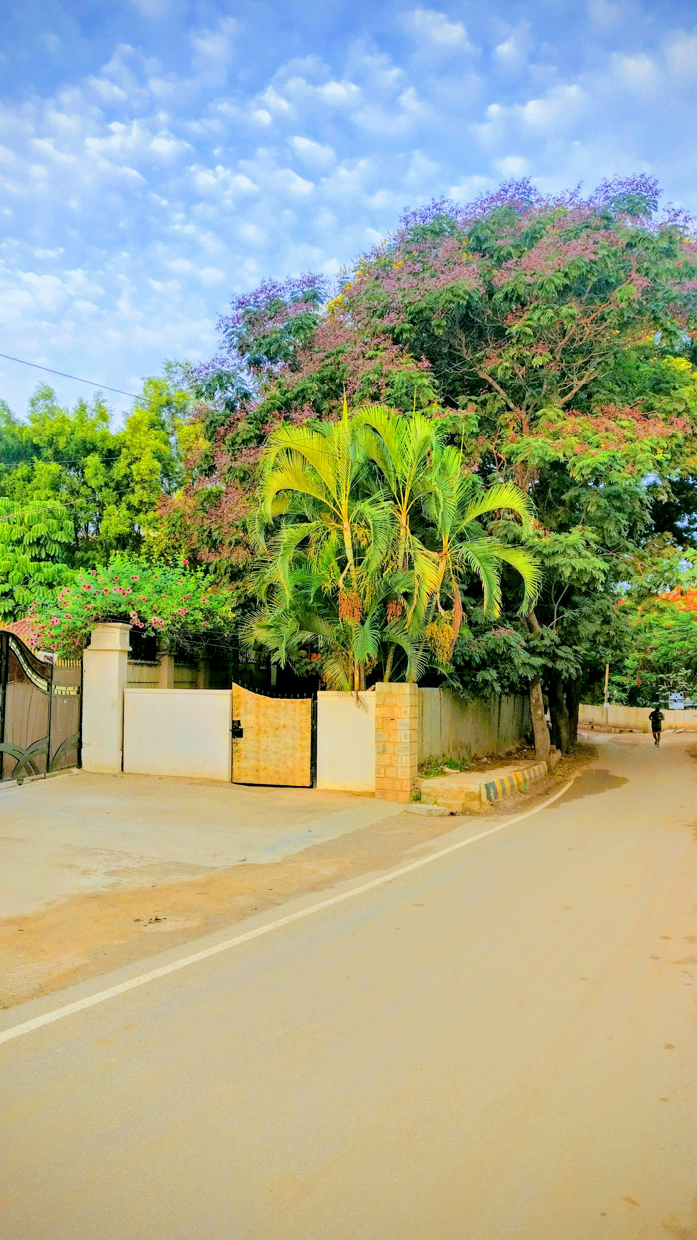 Free Unsplash photo from Susheel Dogra