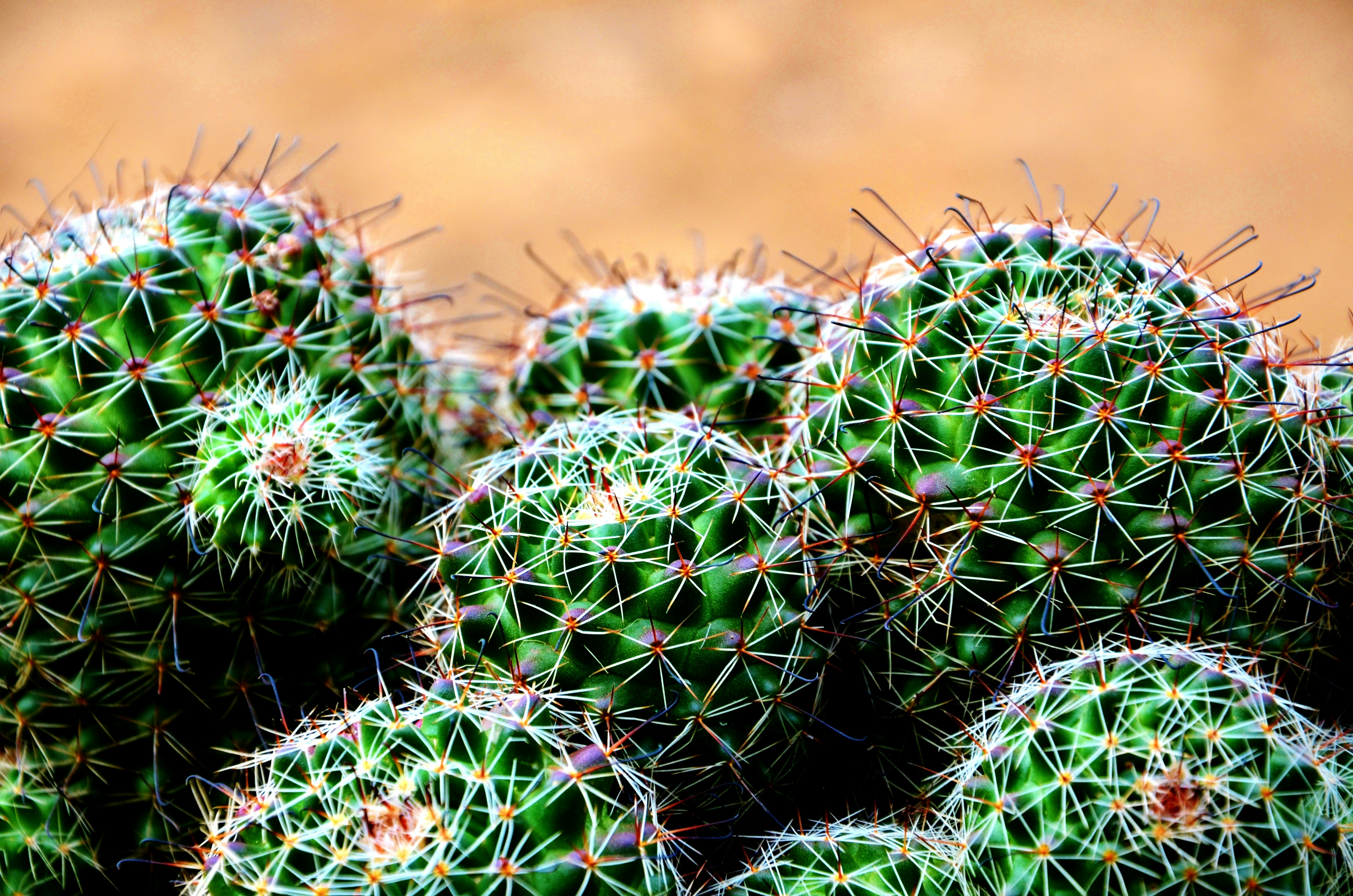 Free Unsplash photo from Mudit Agarwal