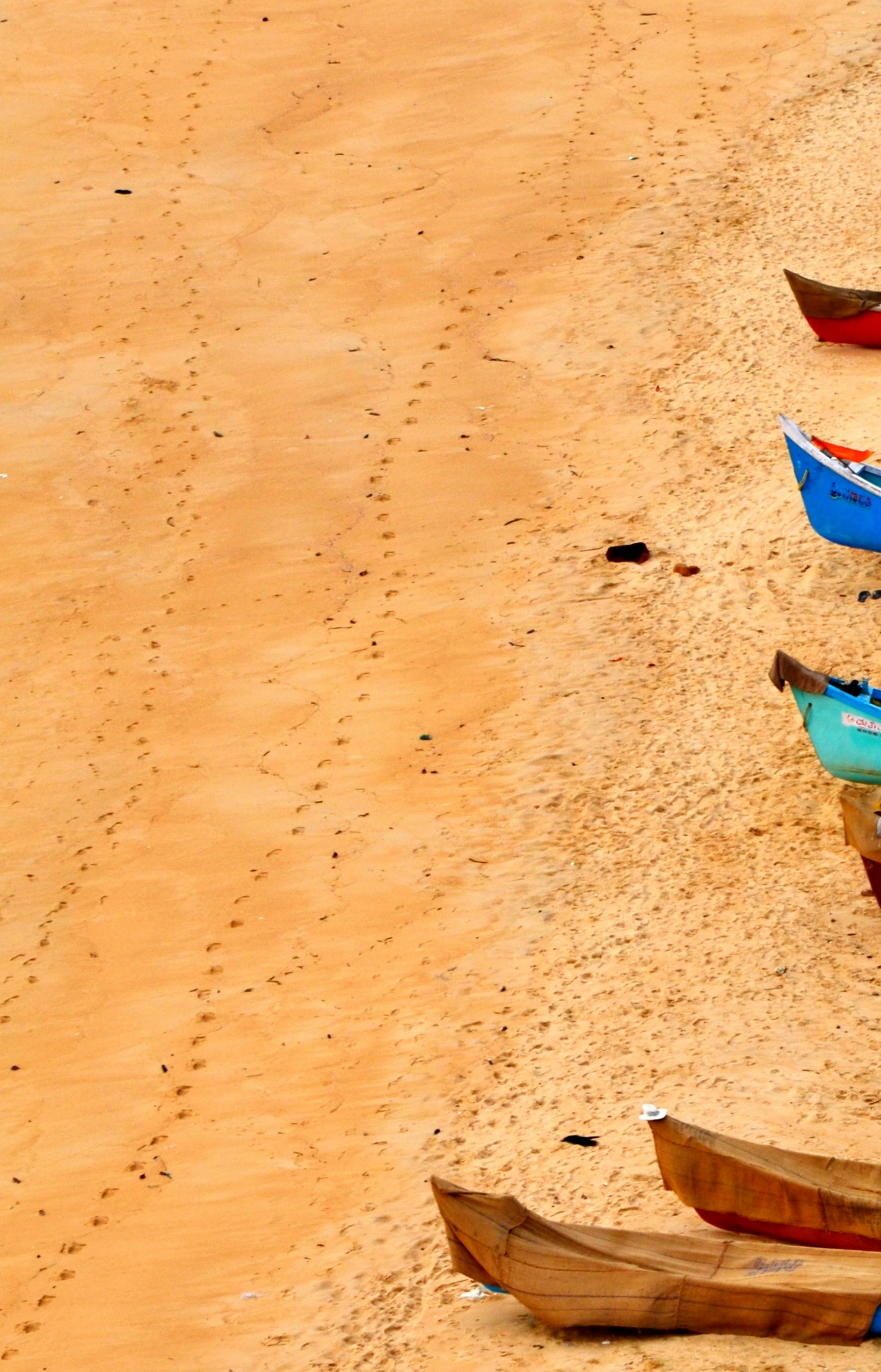 Free Unsplash photo from Mudit Agarwal