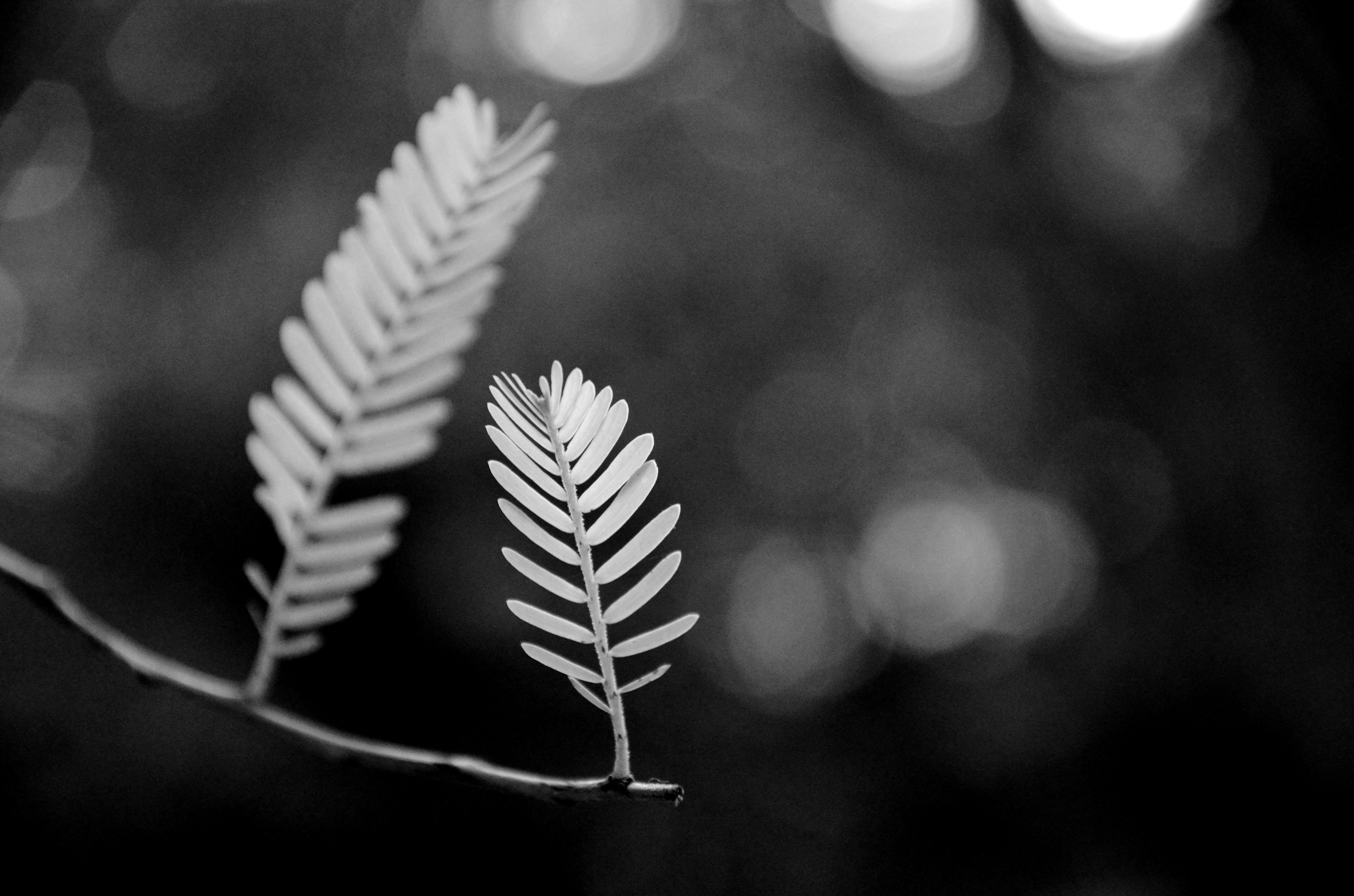 Free Unsplash photo from Mudit Agarwal