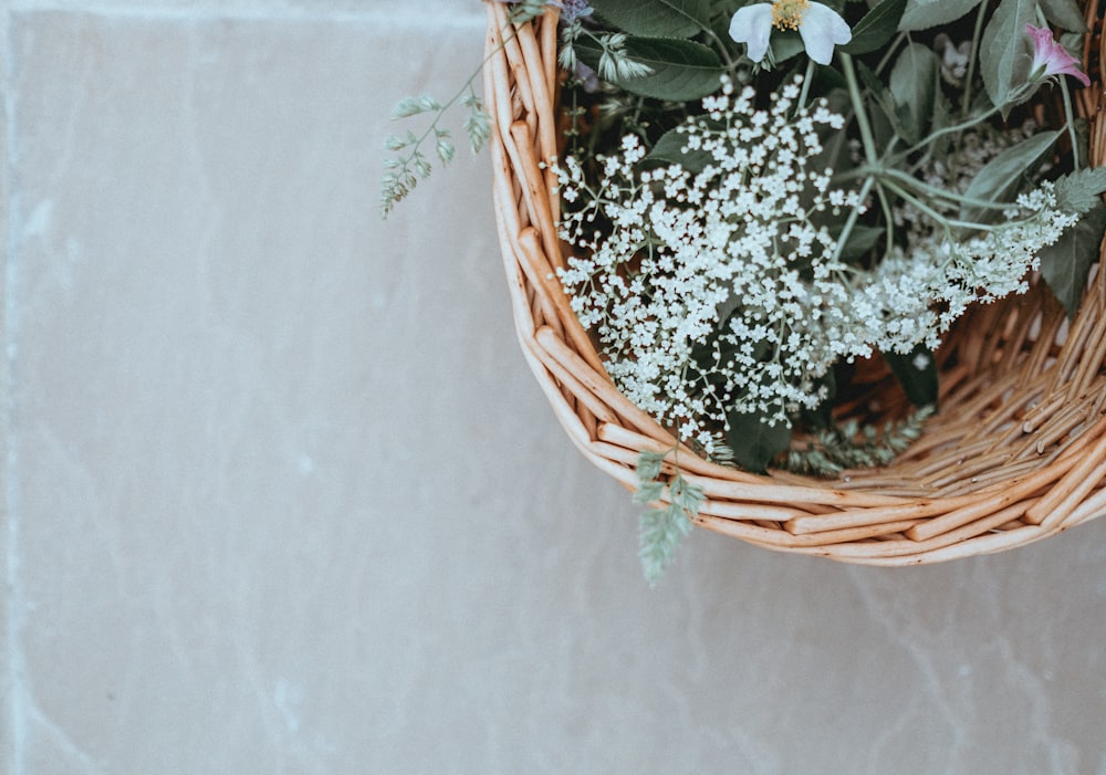 white-petaled flowers in basket
