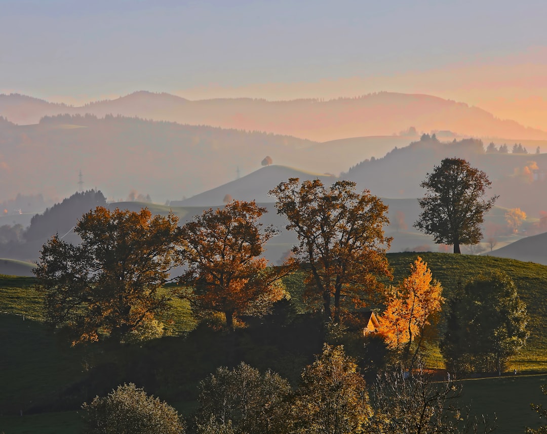 photo of Hirzel Hill near Lake Lucerne