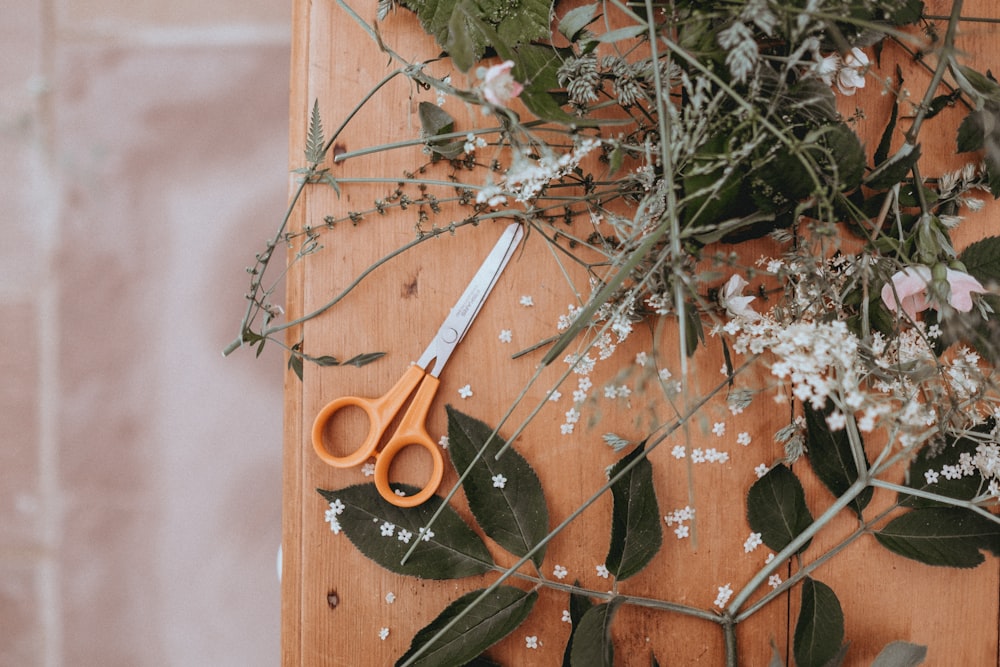 scissors on table