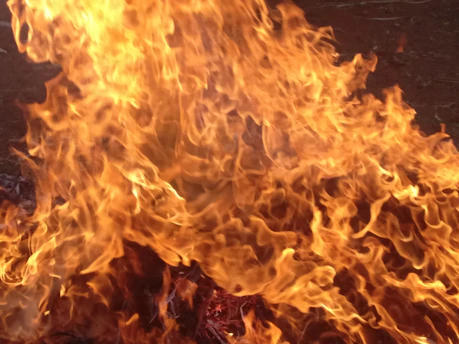 A close-up of bright orange flames dancing against a dark background, capturing the raw energy of fire.
