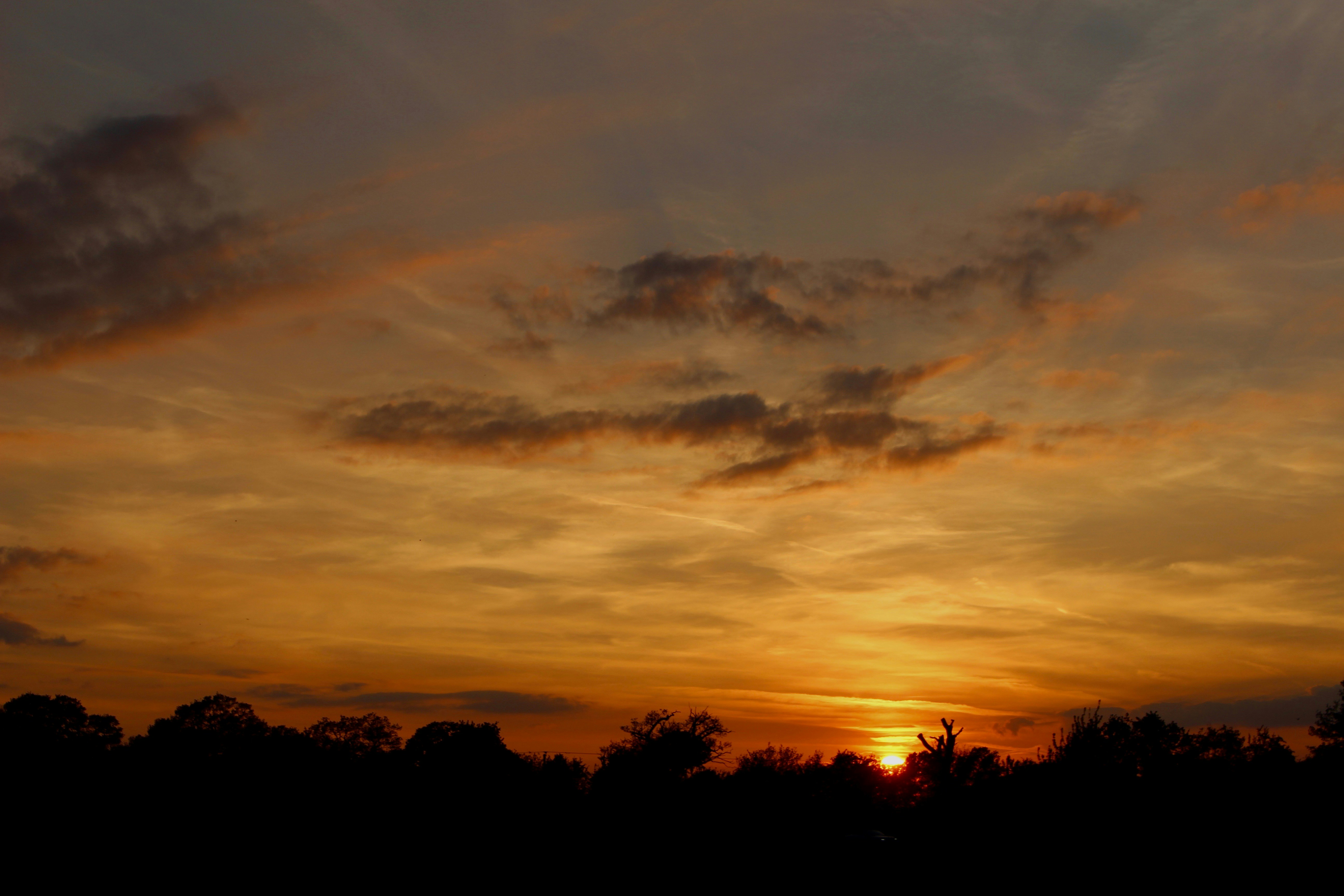 Free Unsplash photo from Emily Morter