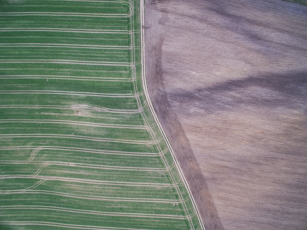 grüne und graue Stofflaken