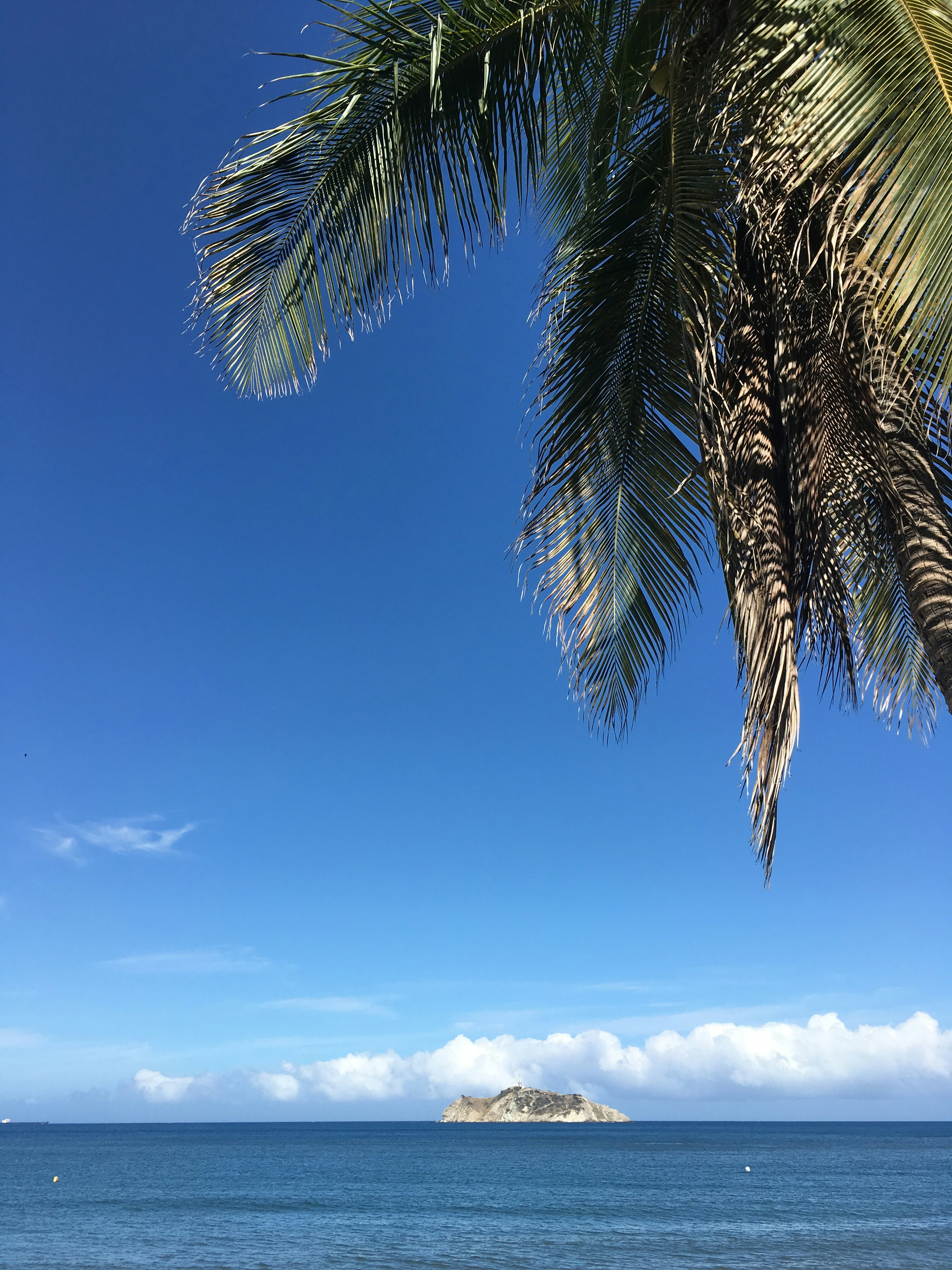 Free Unsplash photo from Alfredo Acevedo