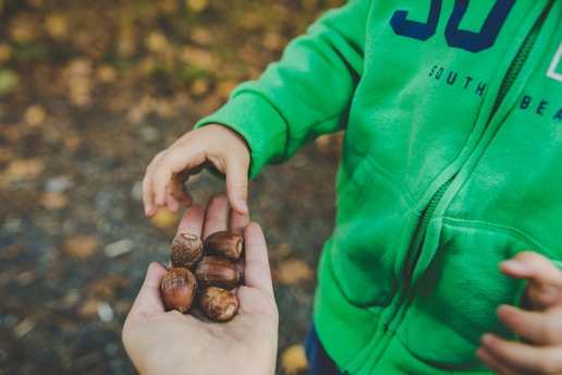 A child's hand reaching towards an open hand holding several acorns. The child is wearing a bright green hoodie with part of a logo visible. The background consists of a blurred, natural setting, possibly a forest floor.