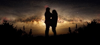 Two silhouetted figures stand closely together under a starry night sky with the Milky Way visible in the background. The scene is framed by dark vegetation, suggesting a natural setting.