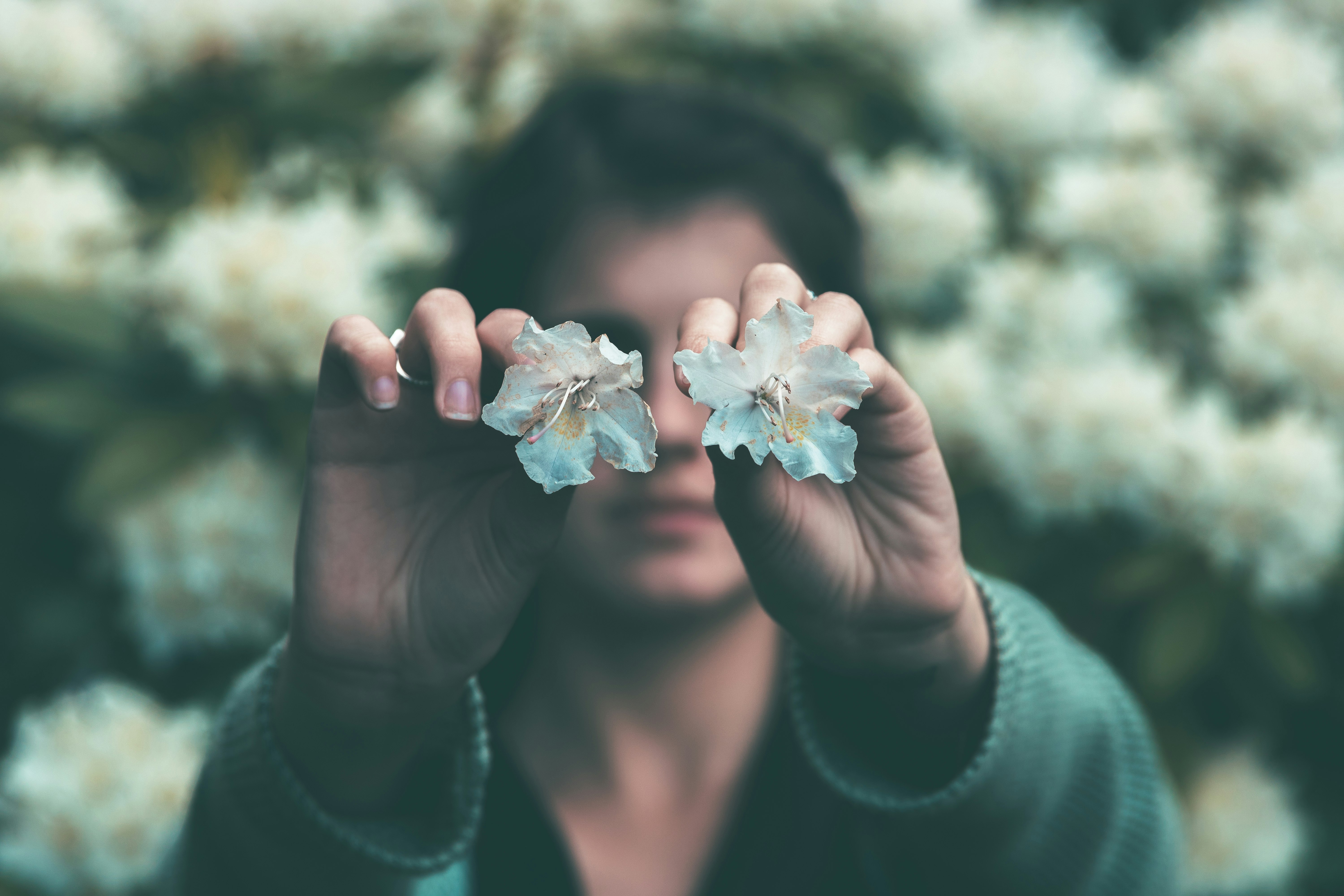 woman holding two teal flowers in bloom