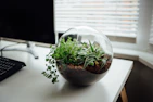 Small desktop planters with green leafy plants arranged neatly beside office supplies on a modern desk.