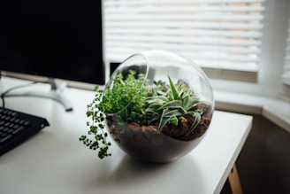 A custom-made terrarium with lush greenery sitting on a wooden desk.