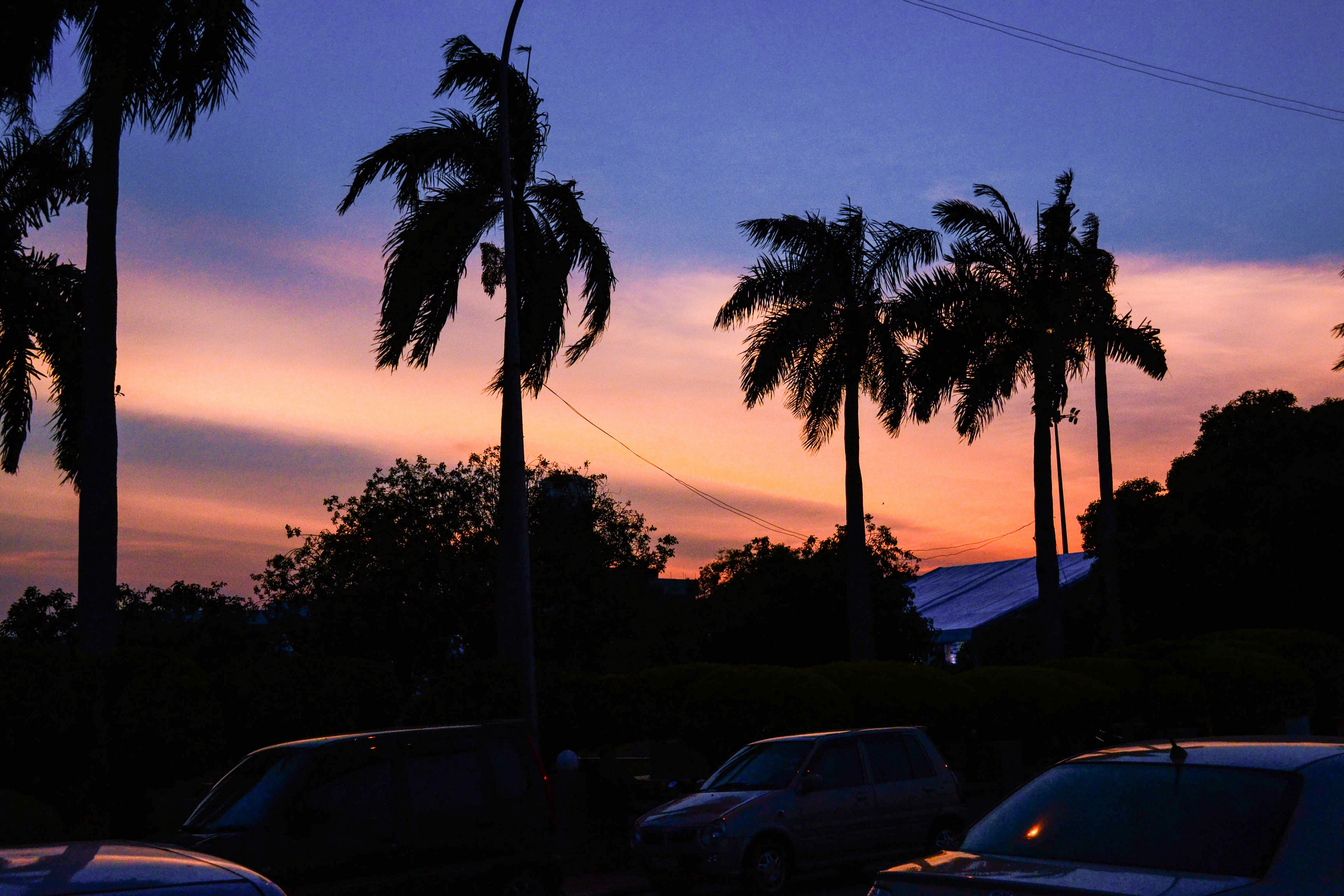 Free Unsplash photo from Billy Wei