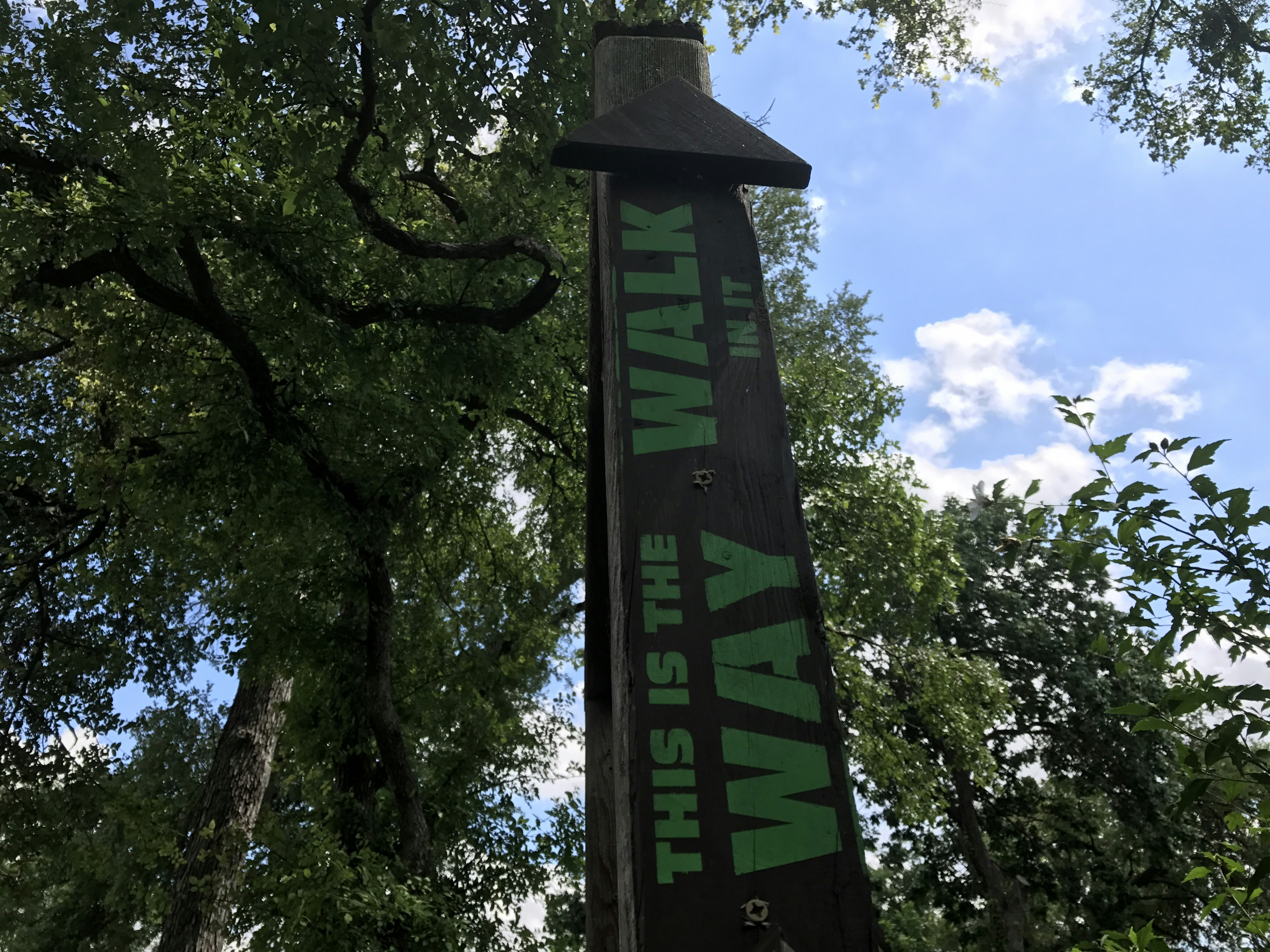 Free Unsplash photo from gotafli