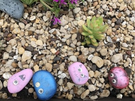 A variety of small, smooth stones are scattered on the ground, surrounded by gravel. Some stones are painted with bright colors and have eyes, resembling playful cartoon-like creatures. A few small succulents and a flowering plant with purple blooms are interspersed among the stones.