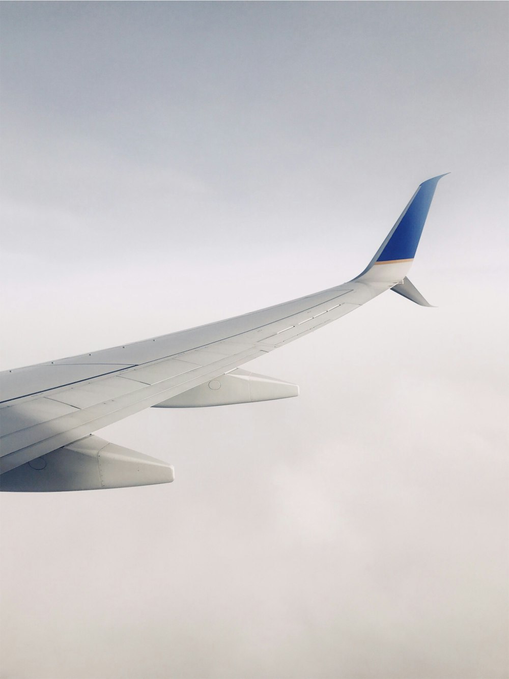 昼間、雲の上を飛ぶ白と青の飛行機