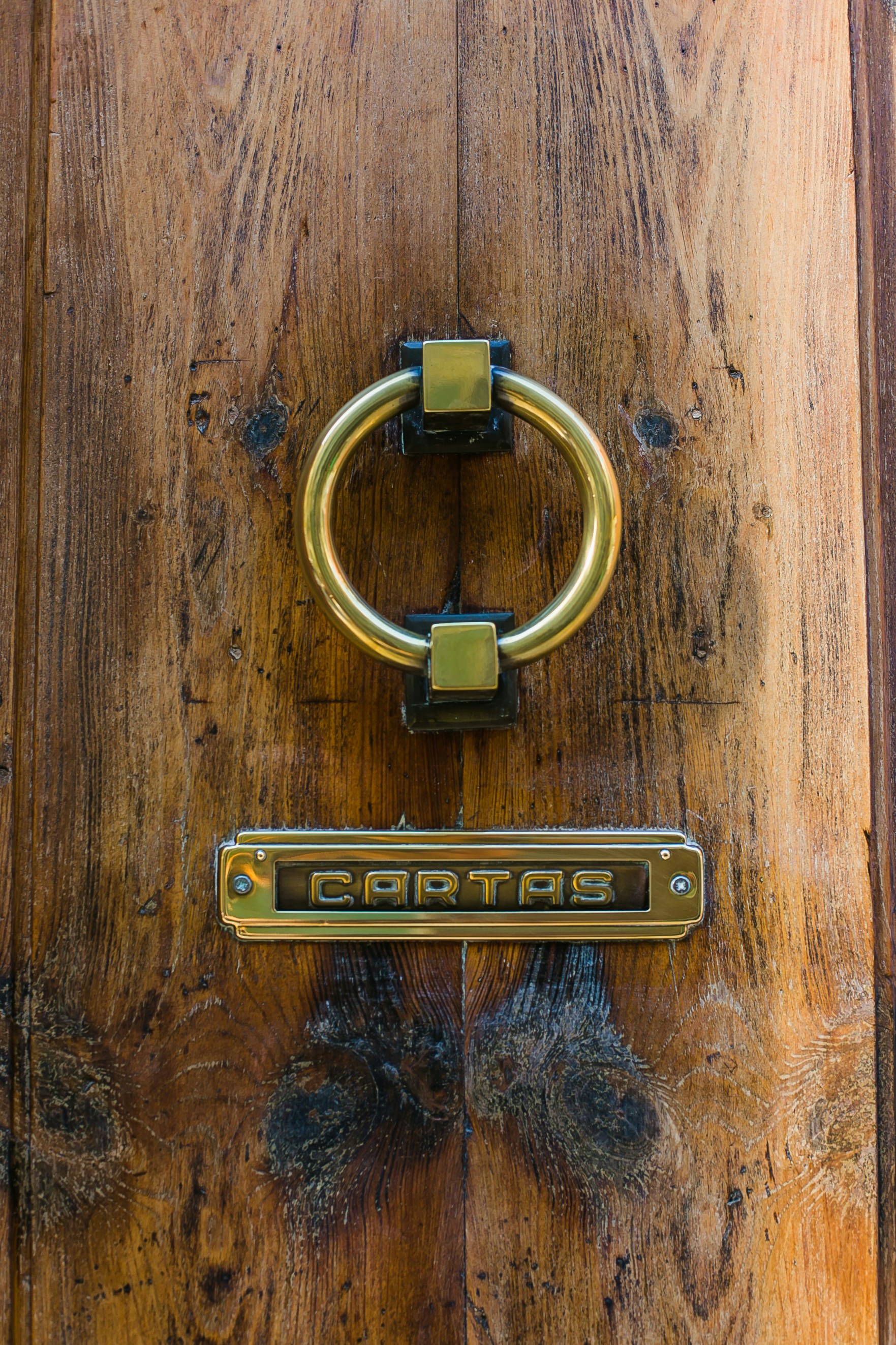 Free Unsplash photo from Zhen Hu