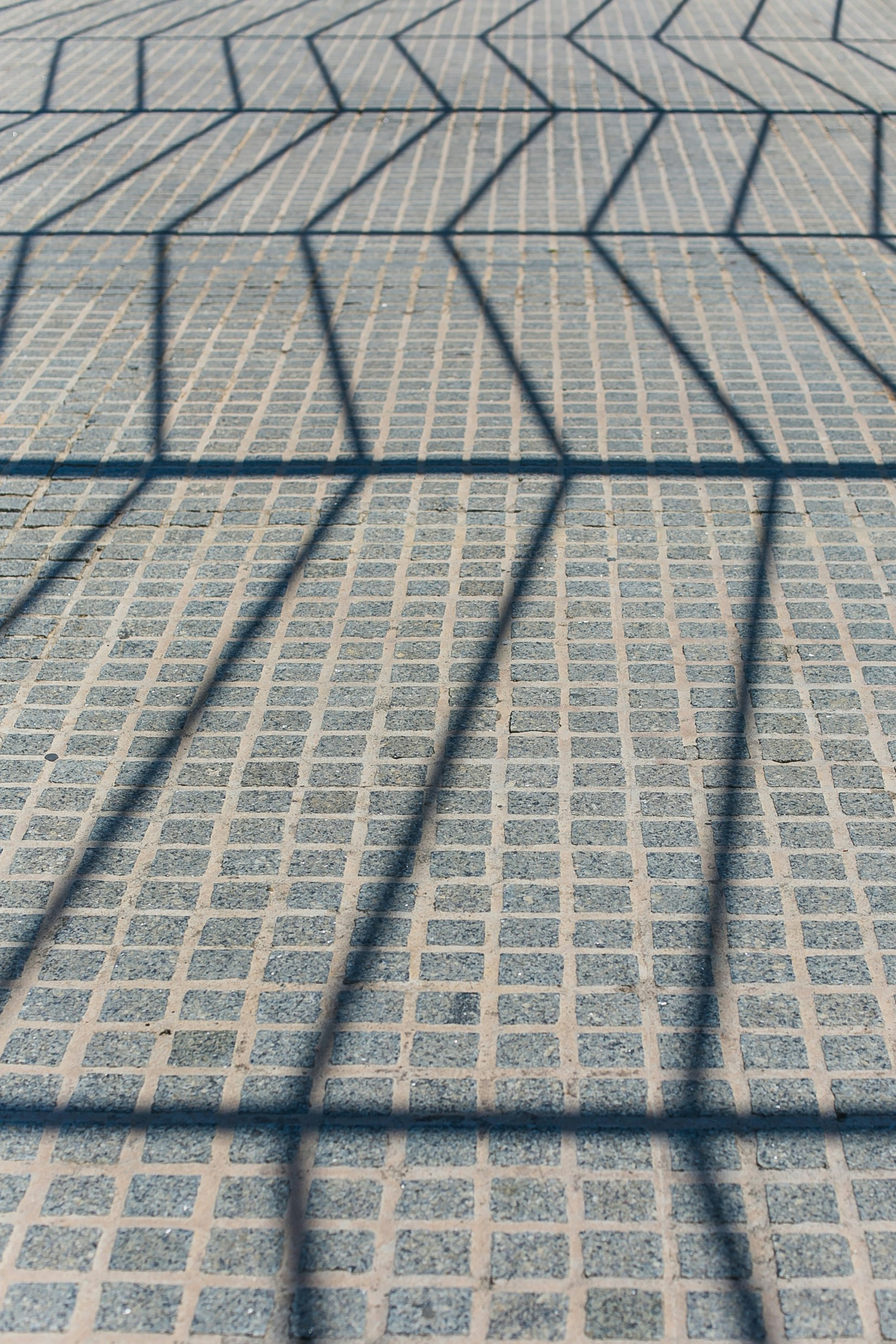 Free Unsplash photo from Zhen Hu