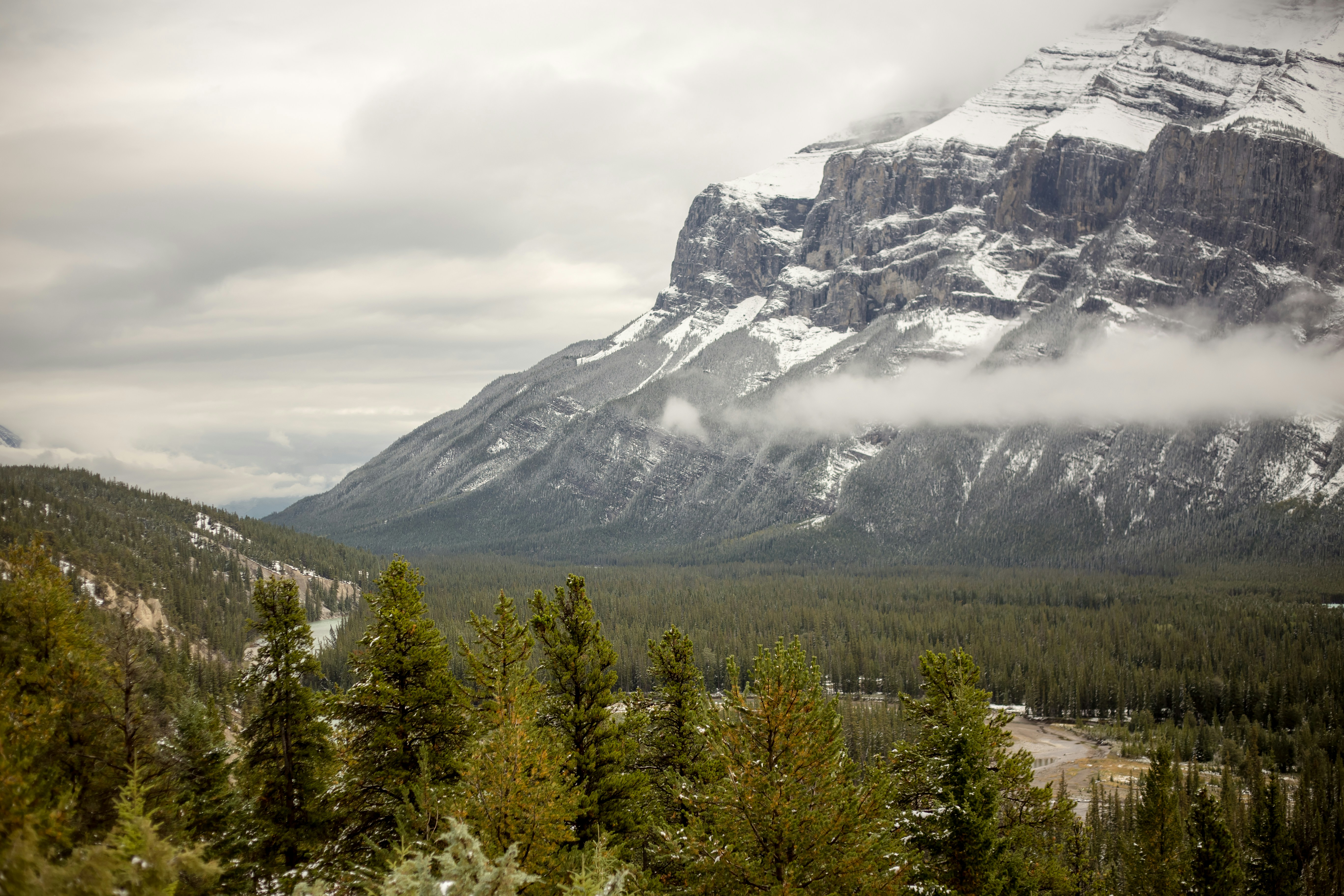 Free Unsplash photo from Regis Freyd