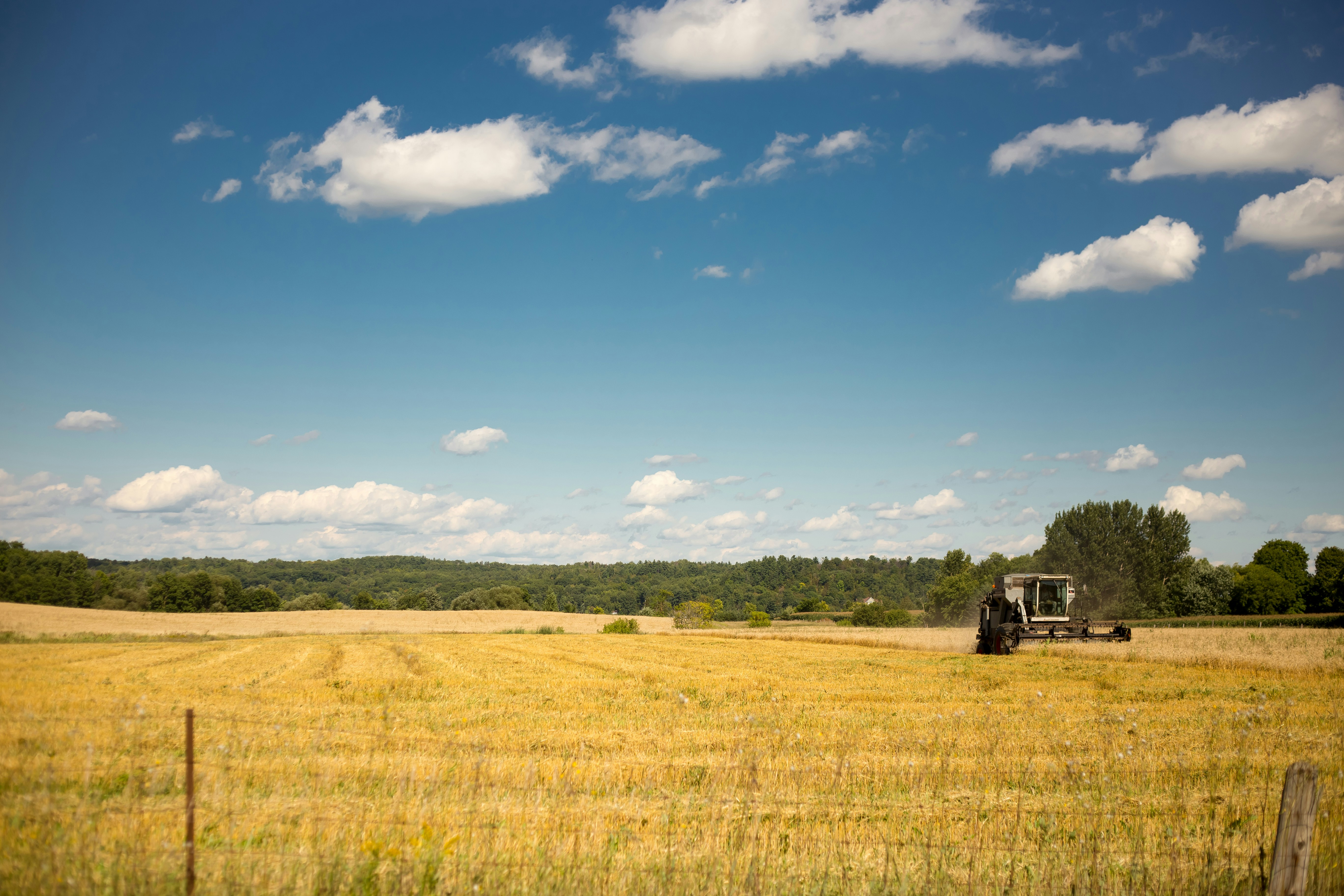 Free Unsplash photo from Regis Freyd