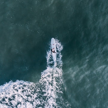 person surfing under sunny sky