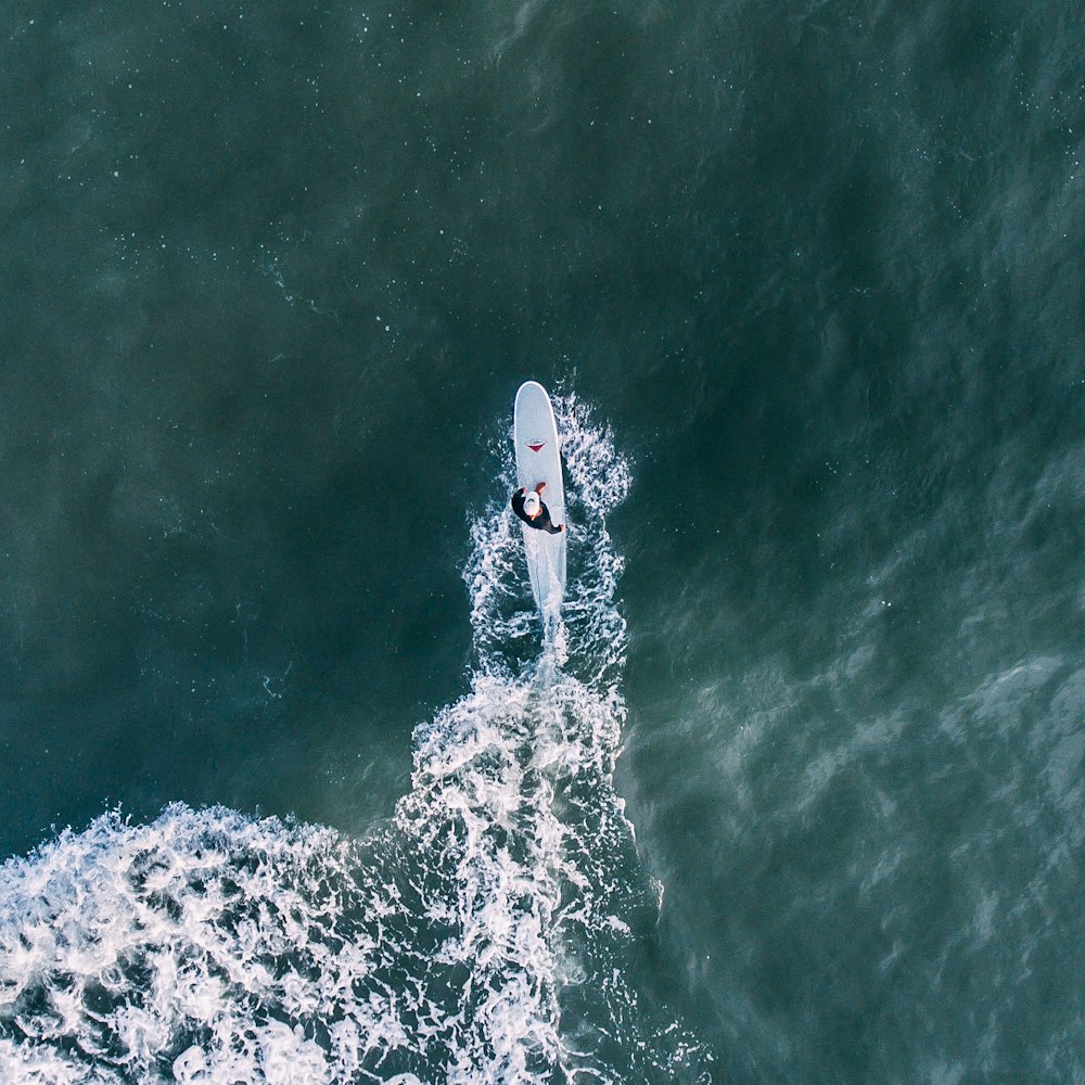 personne surfant sous un ciel ensoleillé