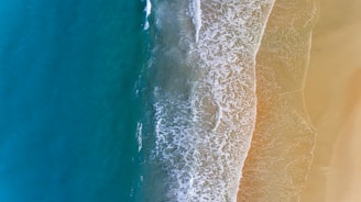 aerial photography of seashore during daytime