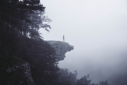 A solitary figure stands on the edge of a rocky cliff surrounded by dense fog. The scene is enveloped in mist, creating an ethereal and mysterious atmosphere. Trees dot the landscape, partially obscured by the fog.